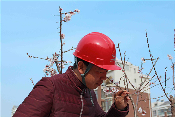 ��ҳ- �ƶ����ʼ��Źٷ���վ