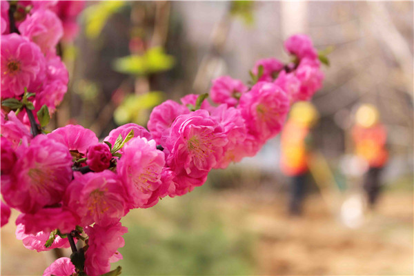 ��ҳ- �ƶ����ʼ��Źٷ���վ