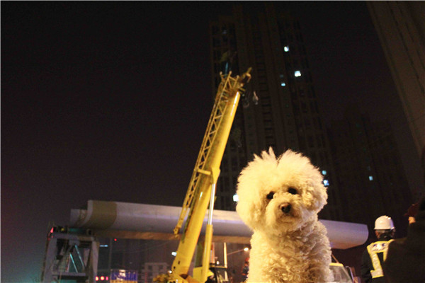 ��ҳ- �ƶ����ʼ��Źٷ���վ