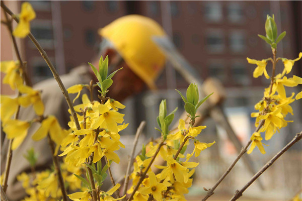 ��ҳ- �ƶ����ʼ��Źٷ���վ