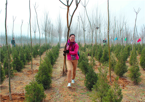 ��ҳ- �ƶ����ʼ��Źٷ���վ